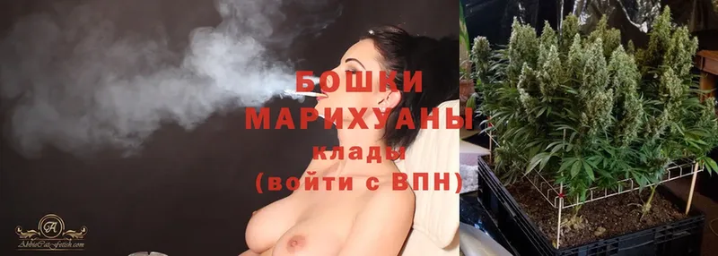 Конопля White Widow  Дубна 